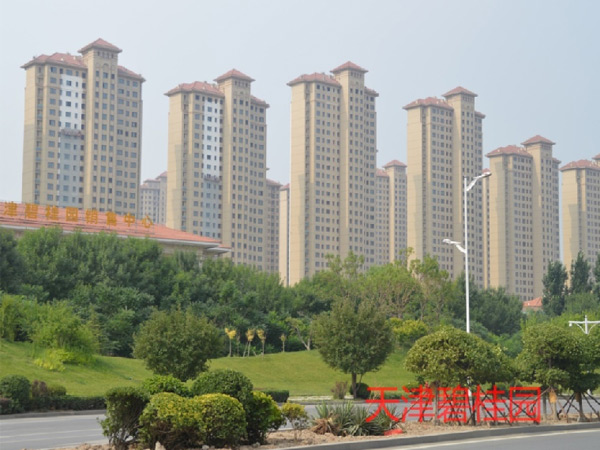 08天津八里臺碧桂園倚濤庭院十四標(biāo)段項目